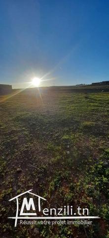 terrain situé a mnihla a vendre