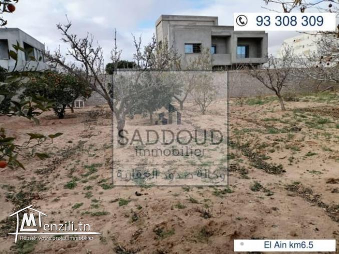 Terrain à El Ain km6.5 50m de la route principale