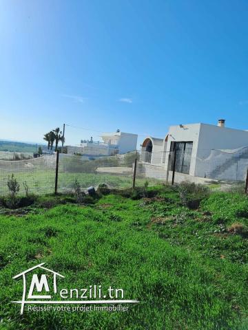 des lots a vendre a tamezrat