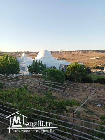 des lots a vendre a tamezrat