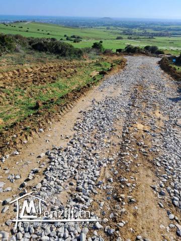 des lots a vendre a tamezrat