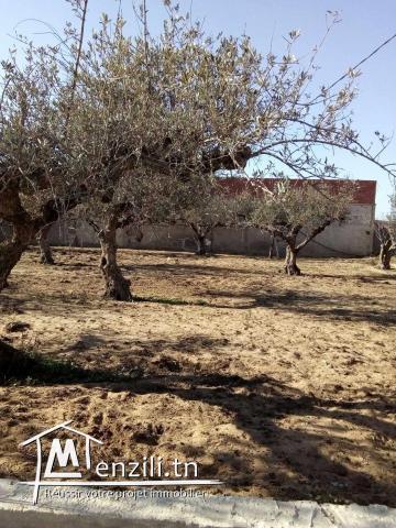 Terrain à vendre à Soukra - قطعة ارض للبيع في سكرة