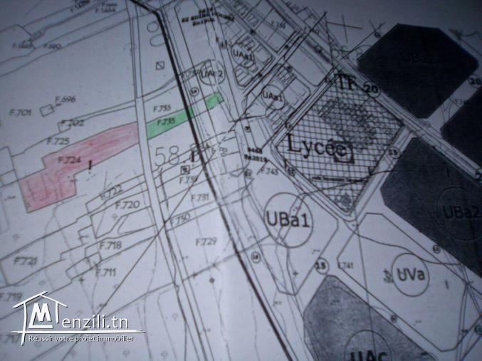 lots a vendre a proximité du lycée secondaire kalaa sghira (sousse)