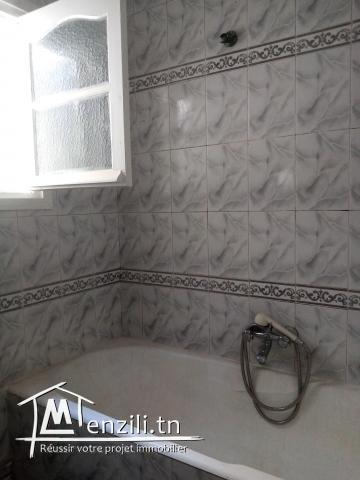 A louer appartement S+1