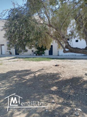 Terrain Av à Bou Mhel Bassatine Surface 357 m²