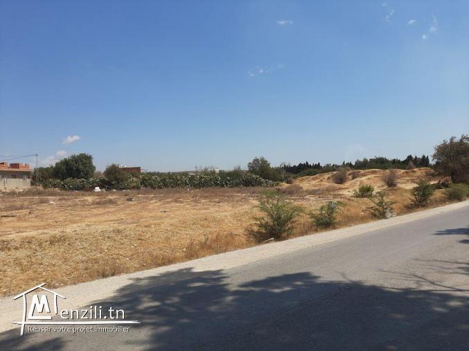 Vente terrain à l'entrée de Nabeul