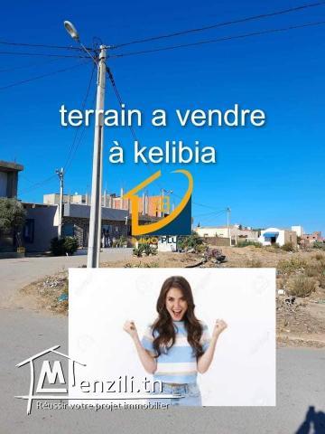 terrain de 200 m2 à kélibia