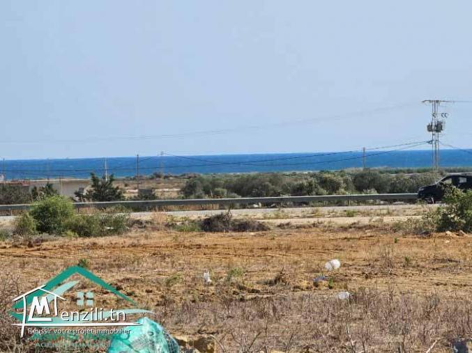 VT708:Des terrains d’habitation à Kelibia