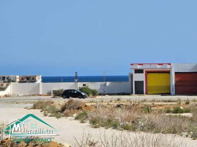 VT708:Des terrains d’habitation à Kelibia