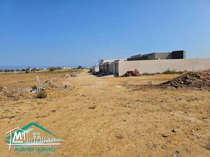VT708:Des terrains d’habitation à Kelibia