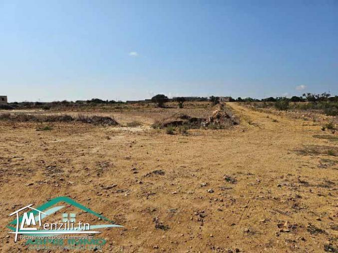 VT708:Des terrains d’habitation à Kelibia