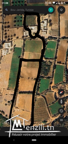 Terrain agricole avec maison