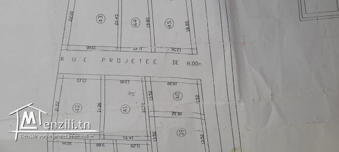 ارض للبيع بقليبية نابل مساحتها 298² م