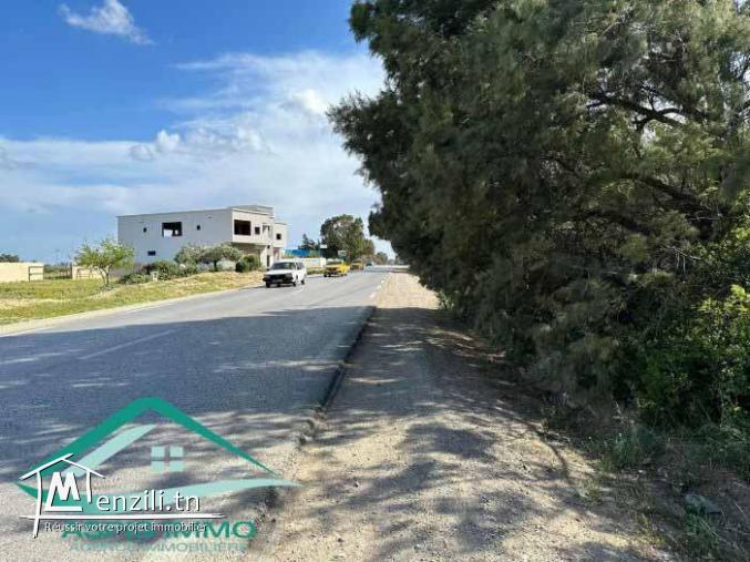 VT811Terrain 1000 m² à kelibia sur la route principale Kelibia Hawaria