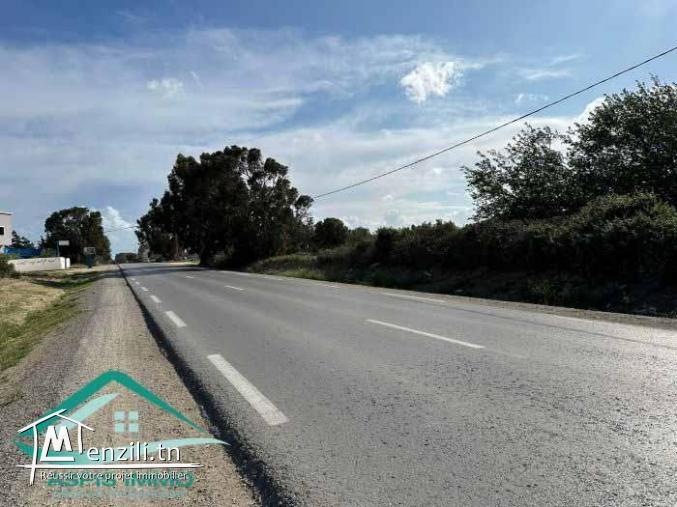 VT811Terrain 1000 m² à kelibia sur la route principale Kelibia Hawaria