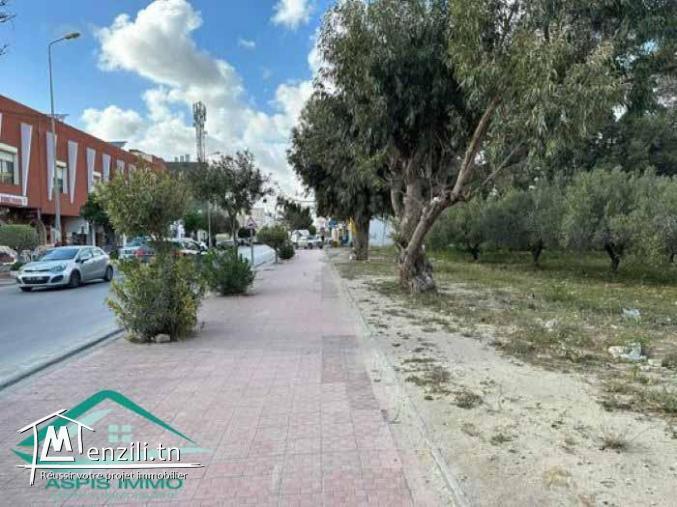 VT812Terrain commercial 580 m² à kelibia