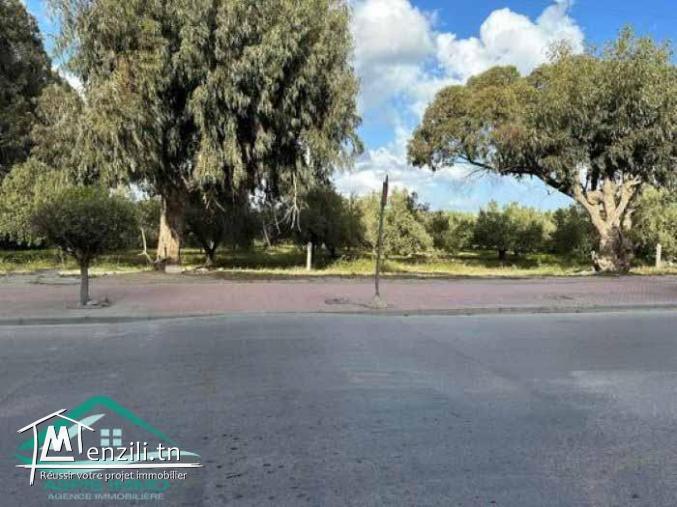 VT812Terrain commercial 580 m² à kelibia