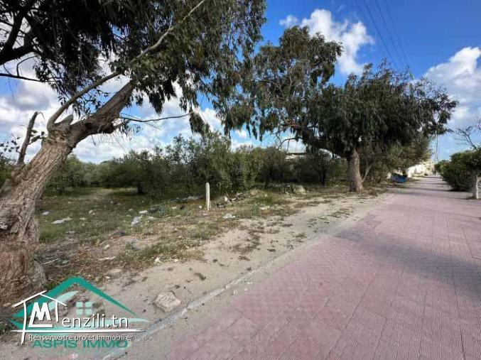 VT812Terrain commercial 580 m² à kelibia