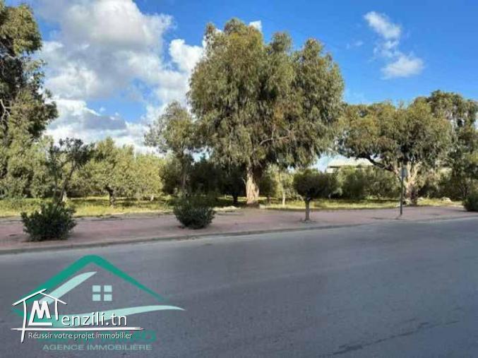 VT812Terrain commercial 580 m² à kelibia