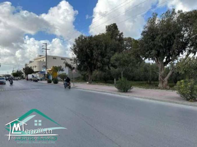 VT812Terrain commercial 580 m² à kelibia