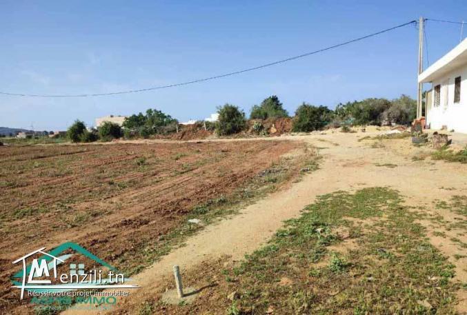 VT823Terrain d'habitation 166 m²  a kelibia