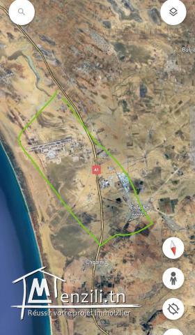 Terrain proche de l aeroport