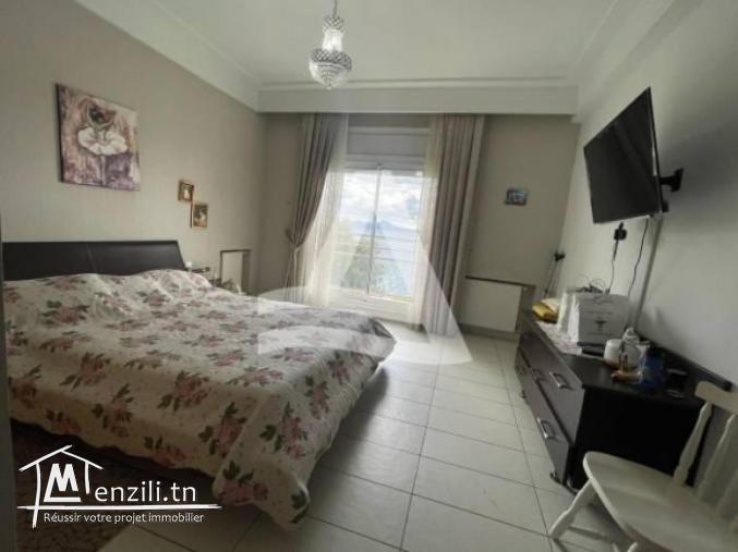 A louer appartement meuble vue lac