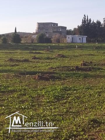 Terrain de 405 m2 a vendre à Mornag