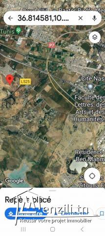 AV: terrain nu a sahaja -mannouba.