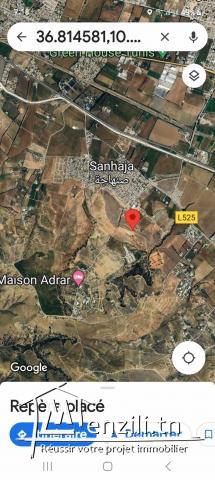 AV: terrain nu a sahaja -mannouba.