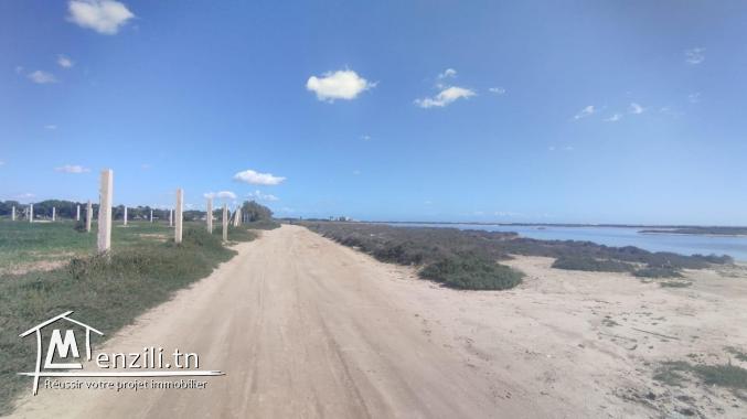 Vente d'un terrain agricole à El Maamoura
