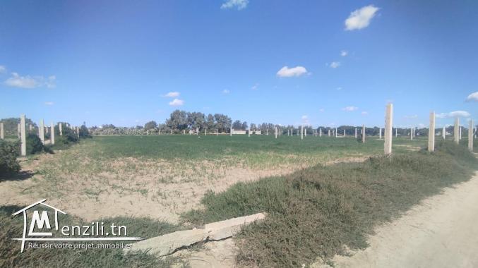 Vente d'un terrain agricole à El Maamoura