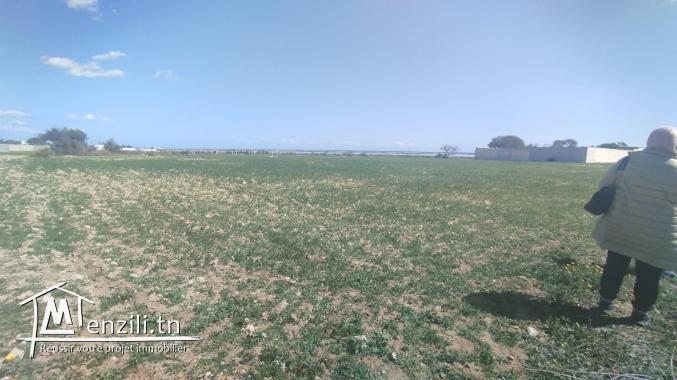 Vente d'un terrain agricole à El Maamoura