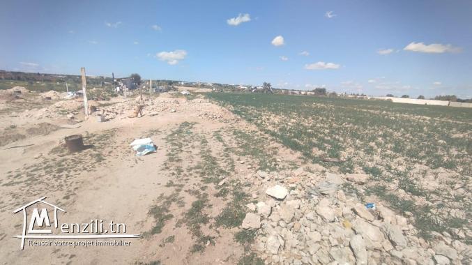 Vente d'un terrain agricole à El Maamoura