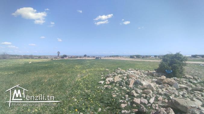 Vente de deux terrains constructifs à El Maamoura de 445m² et 444m²