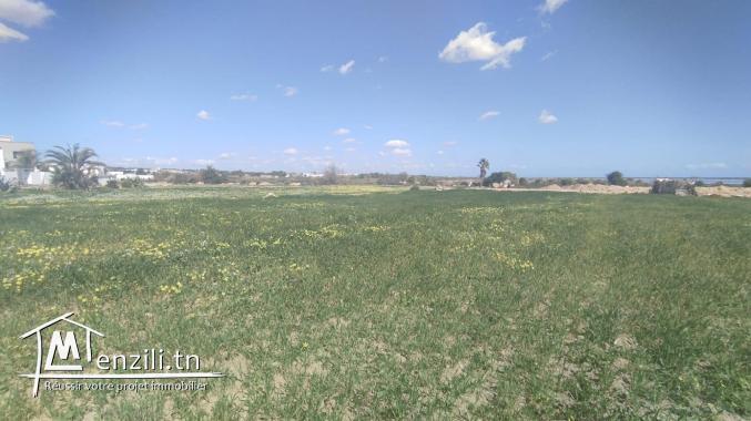 Vente de deux terrains constructifs à El Maamoura de 445m² et 444m²