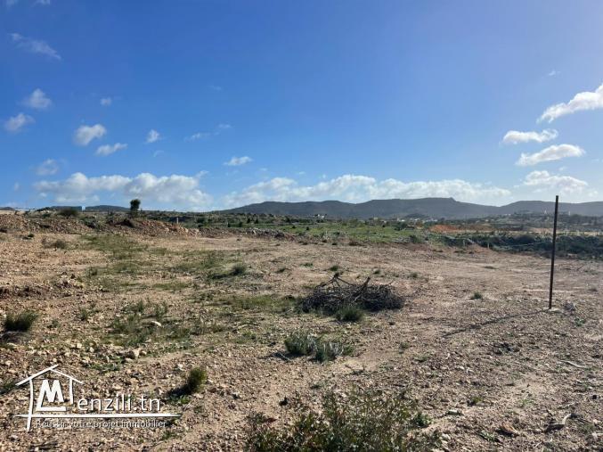 Terrain à vendre à Hammamet