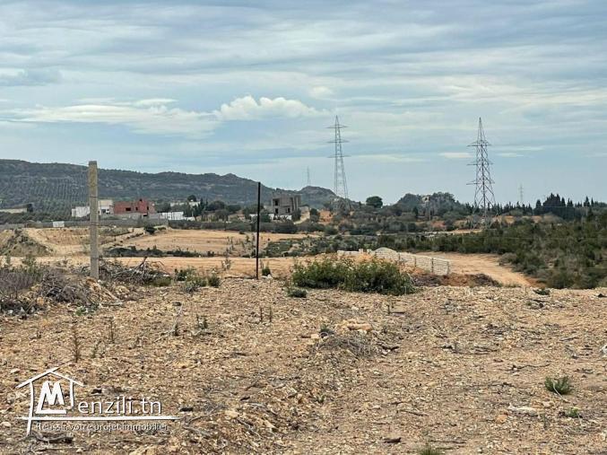 Terrain à vendre à Hammamet