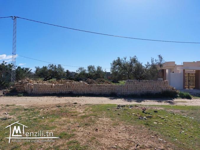 Terrain à vendre à Téboulba (الشراقي)