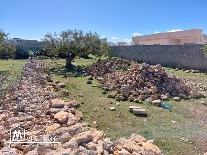 Terrain à vendre à Téboulba (الشراقي)