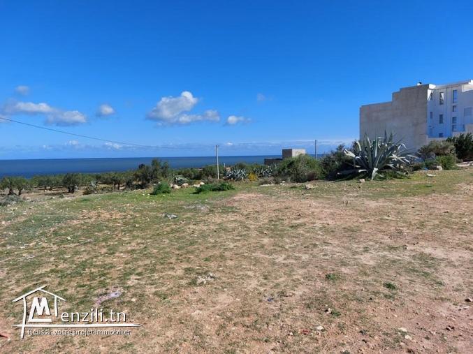 Terrain à vendre à Téboulba (الشراقي)