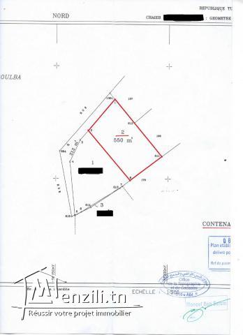 Terrain à vendre à Téboulba (الشراقي)
