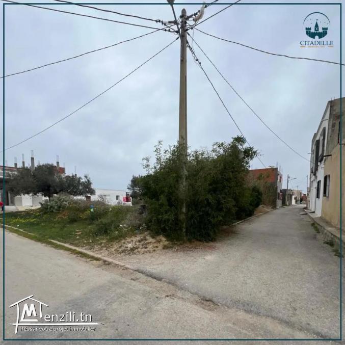 أراضي للبيع على وجهتين بقليبية تيهرت