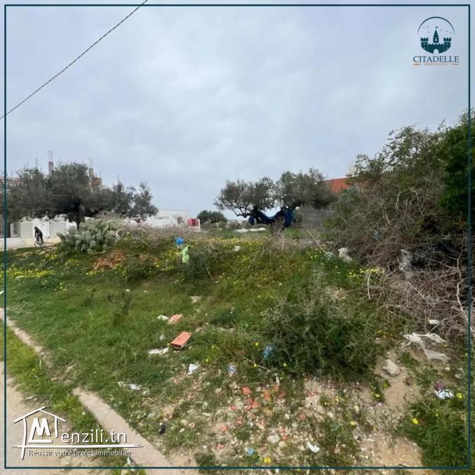 أراضي للبيع على وجهتين بقليبية تيهرت