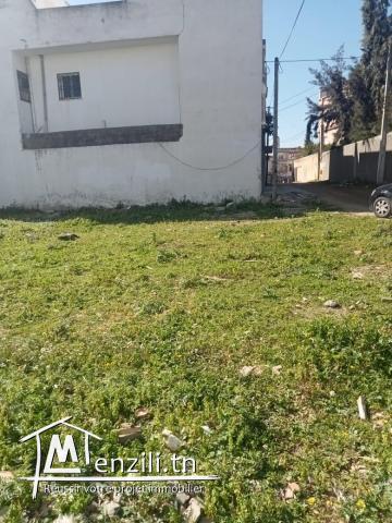 terrain 2eme position