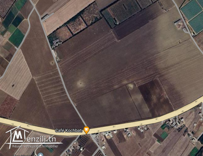 A vendre une ferme a tsela Khitmine  Bizert