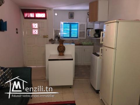 Appartement S+1 Meublé au Cœur de La Marsa Plage