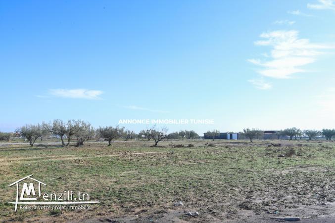 Terrain de 172 m2 à vendre