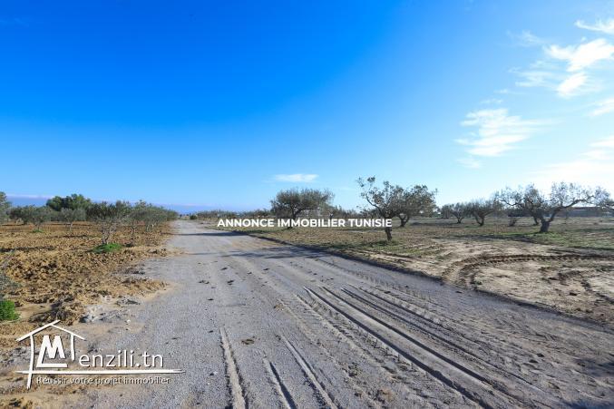 Terrain de 172 m2 à vendre