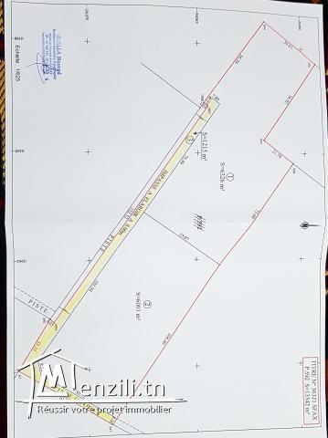 Terrain rectangulaire